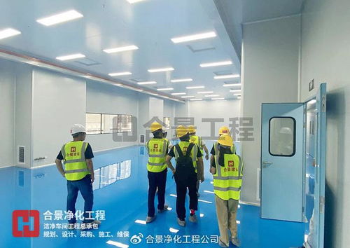 金山高新區生物醫藥新工廠投用 總投資3.5億元，合景凈化工程公司引領行業新篇章